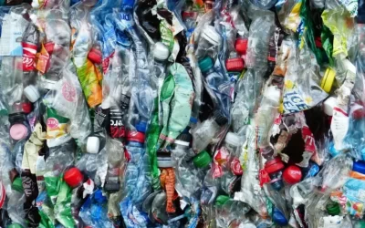 Comment identifier et remplacer les plastiques cachés ?