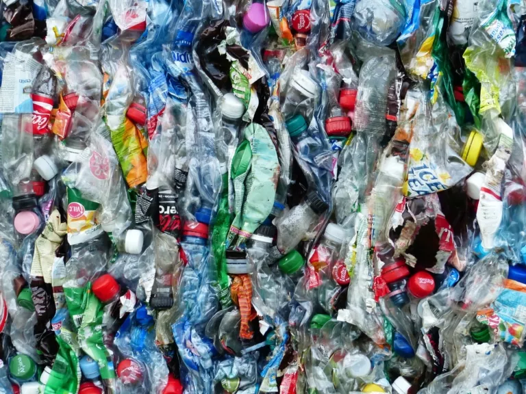 Comment-identifier-et-remplacer-les-plastiques-caches-768x576