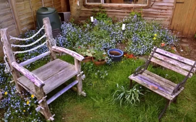 Que peut-on faire des vieilles chaises en bois en Suisse ?