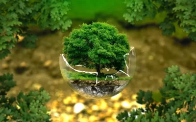 Réduire votre empreinte environnementale en Suisse sans vous sacrifier