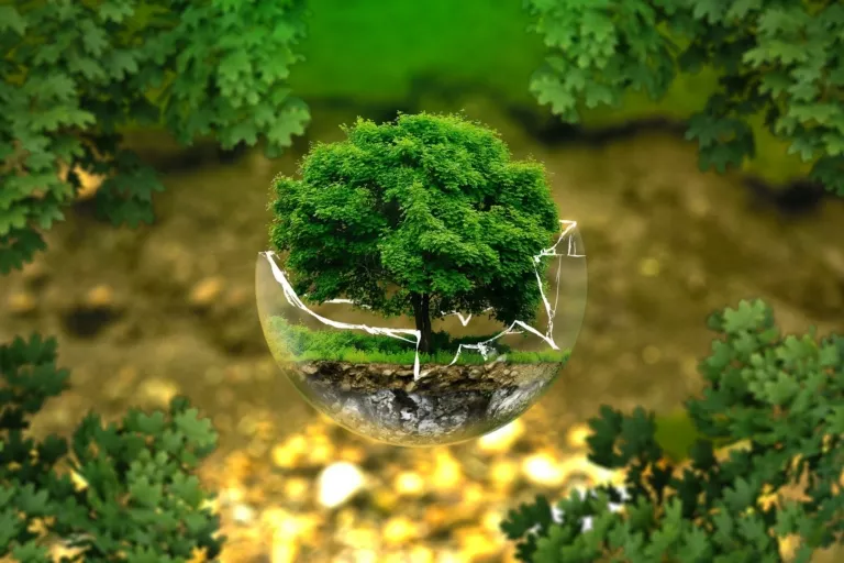 Reduire-votre-empreinte-environnementale-en-Suisse-sans-vous-sacrifier-768x512
