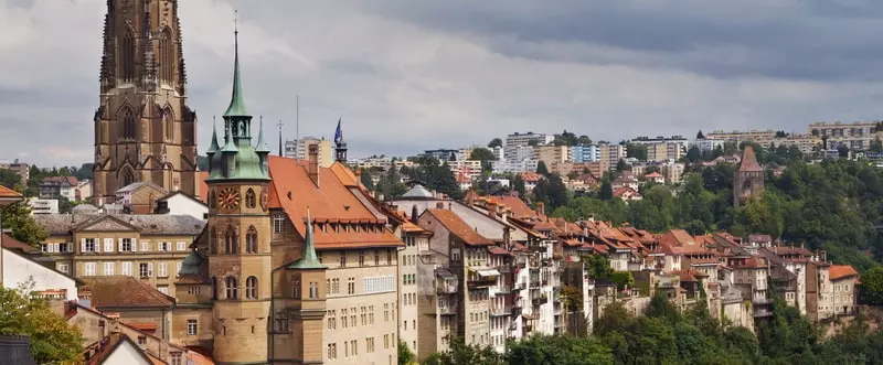 debarras-fribourg-ville.jpg