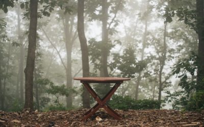 Débarrasser un meuble à Vandoeuvres
