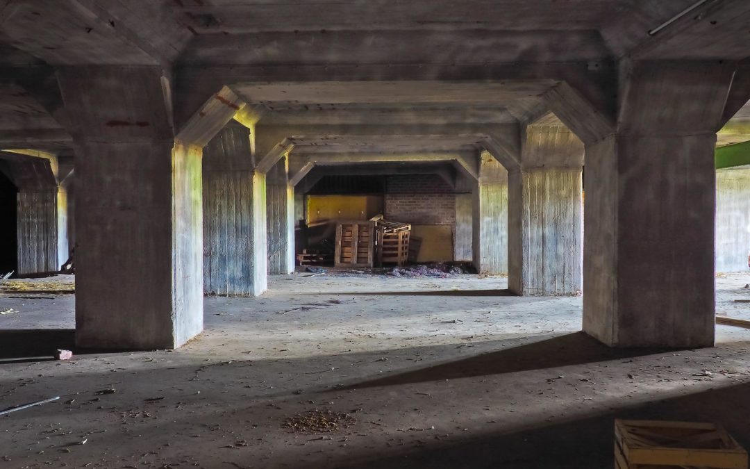 Débarras de cave à Lancy