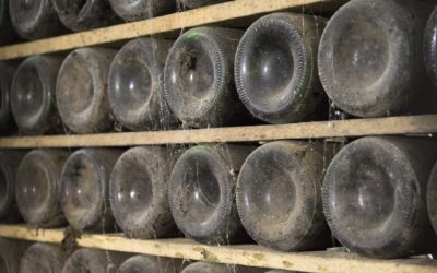 Débarras d’une cave à Meinier