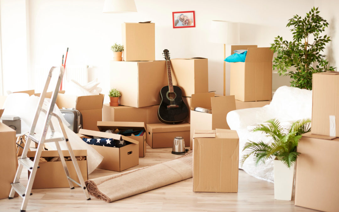 Débarras appartement à Hermance